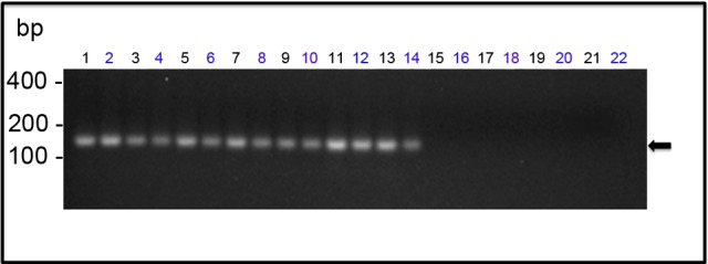 Fig 9