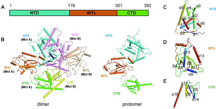 Figure 1.