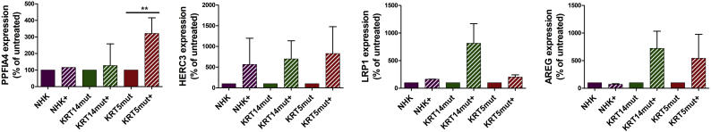 Supplemental Fig. 5