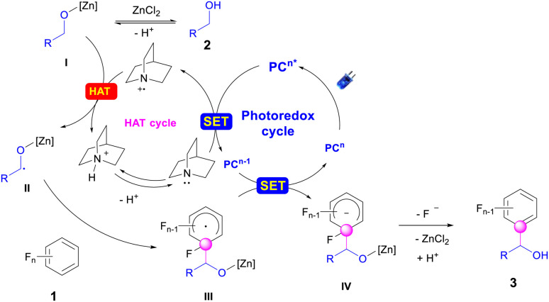 Scheme 6