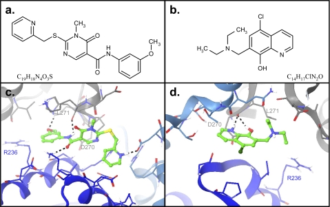 FIGURE 2.