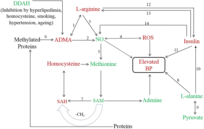 Figure 5