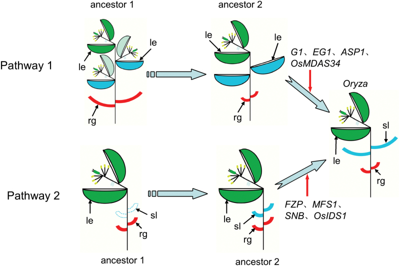 Fig. 10.