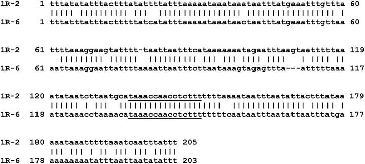 Figure 2.—