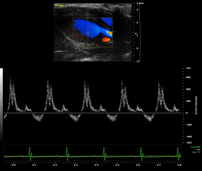 Fig. 4