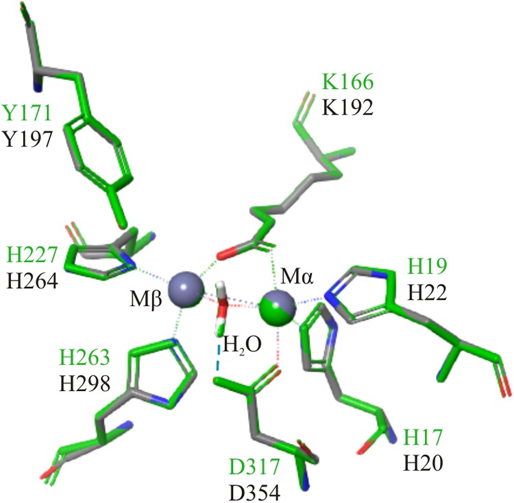 FIGURE 4