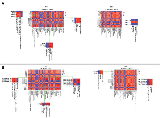 Figure 6