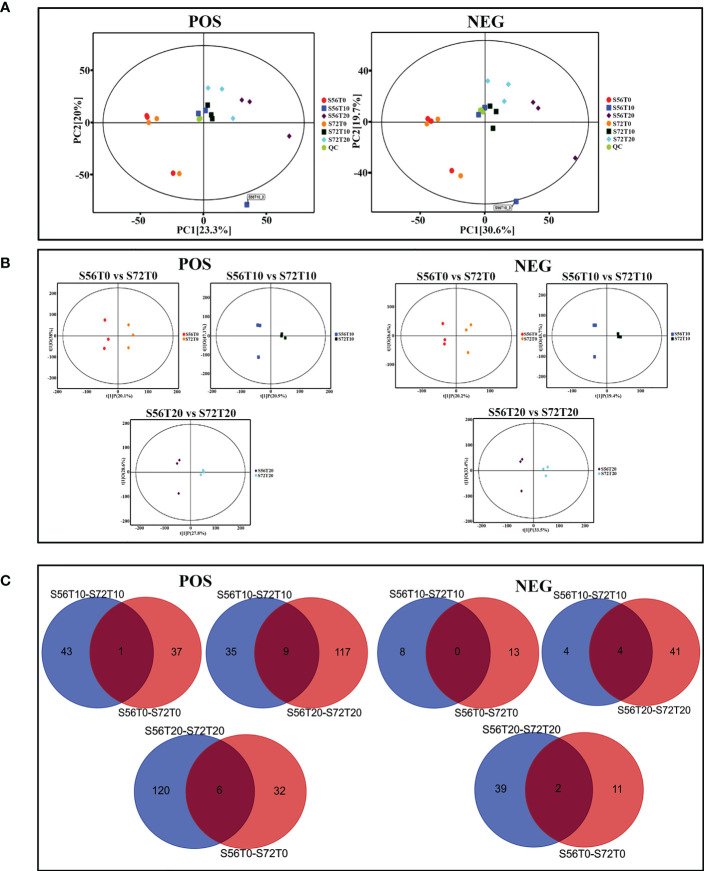 Figure 5