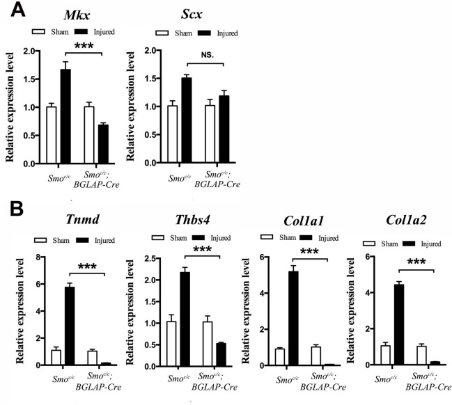 Figure 7—figure supplement 1.