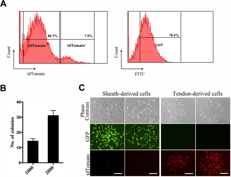 Figure 1—figure supplement 1.