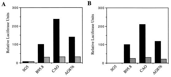 FIG. 6