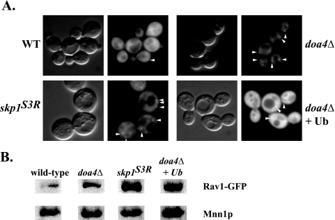 FIG. 6.