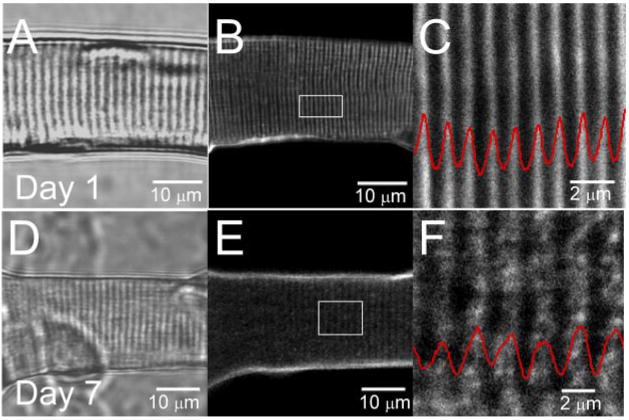 Fig. 8