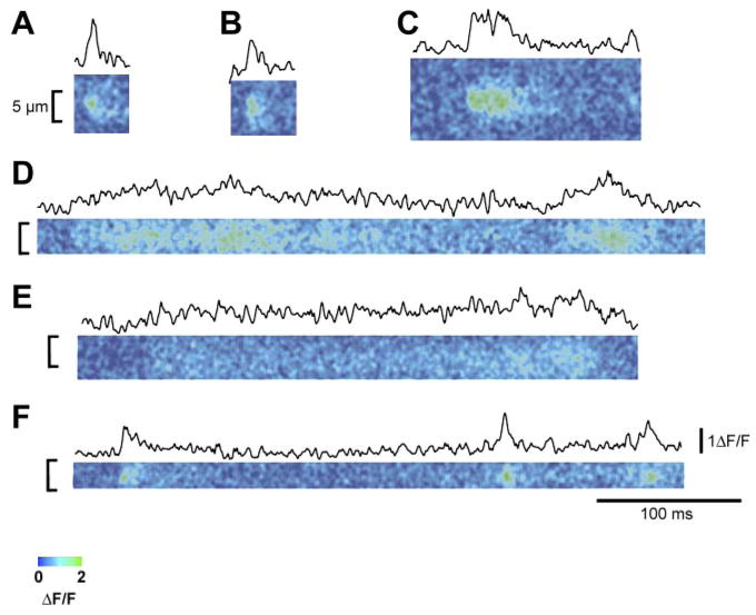 Fig. 4