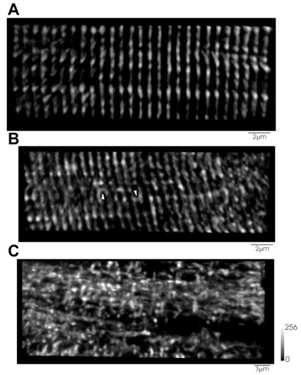 Fig. 9