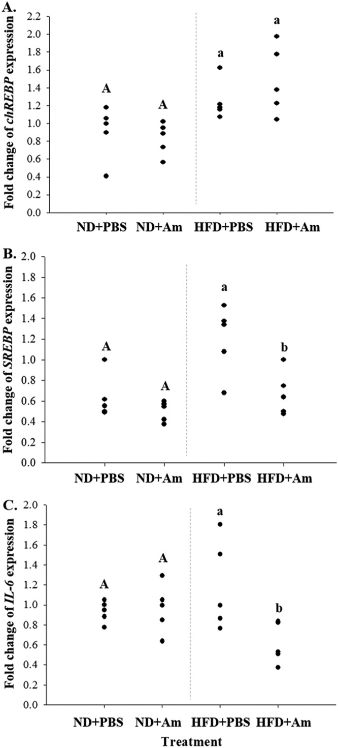 FIG 2