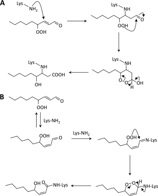 FIGURE 10.