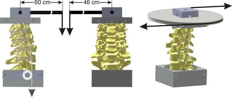 Fig. 2