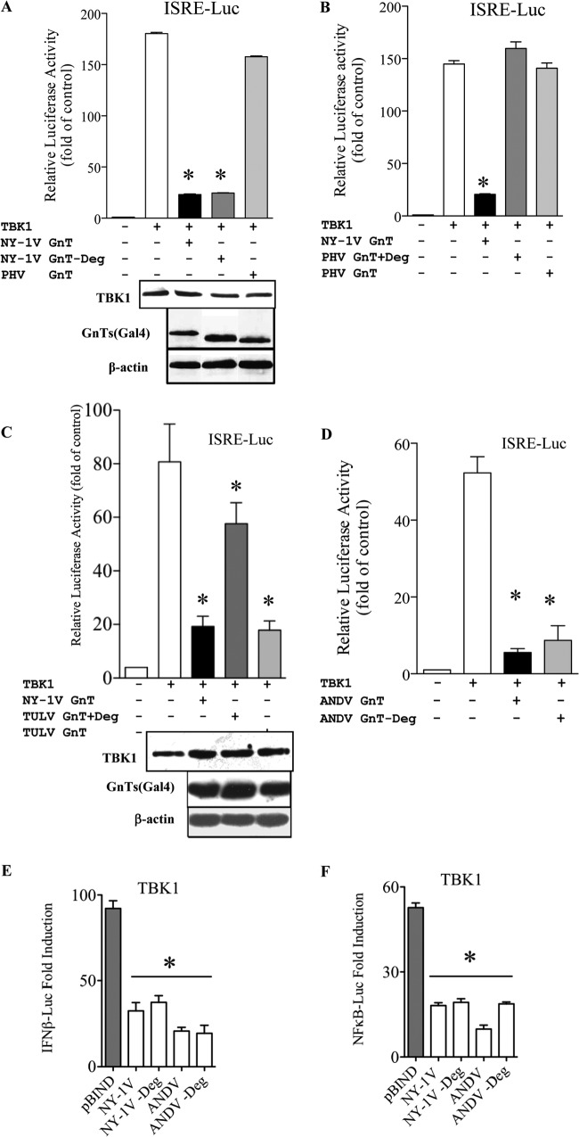 FIG 6