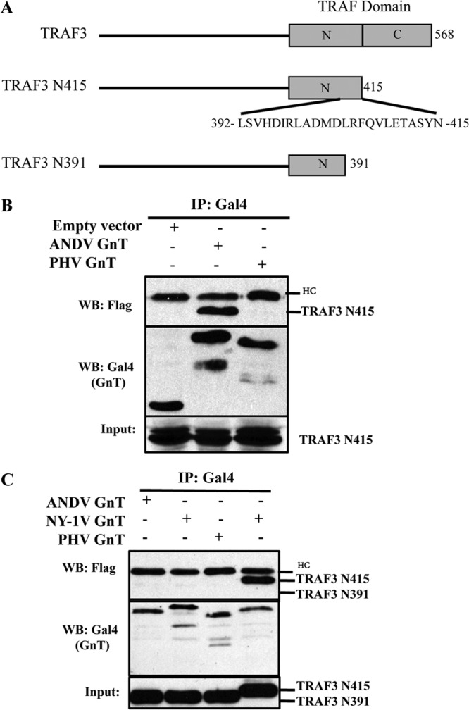 FIG 3