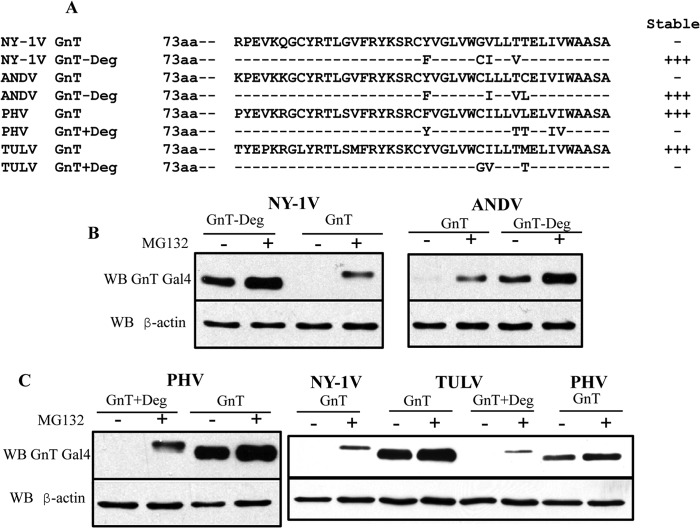 FIG 4