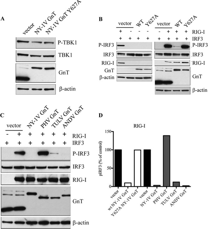 FIG 10