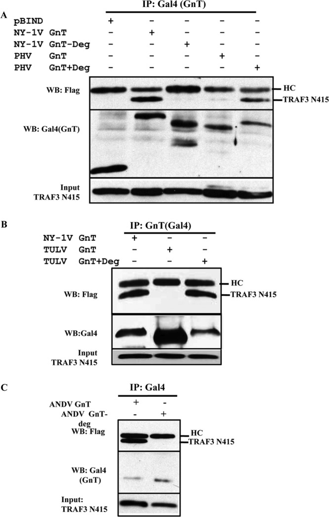 FIG 5