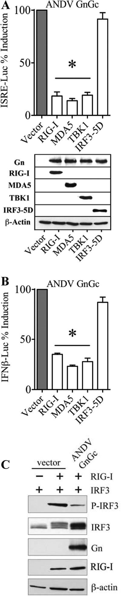 FIG 2