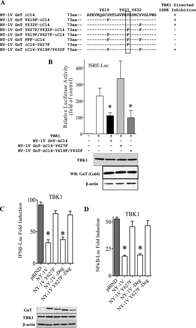 FIG 8