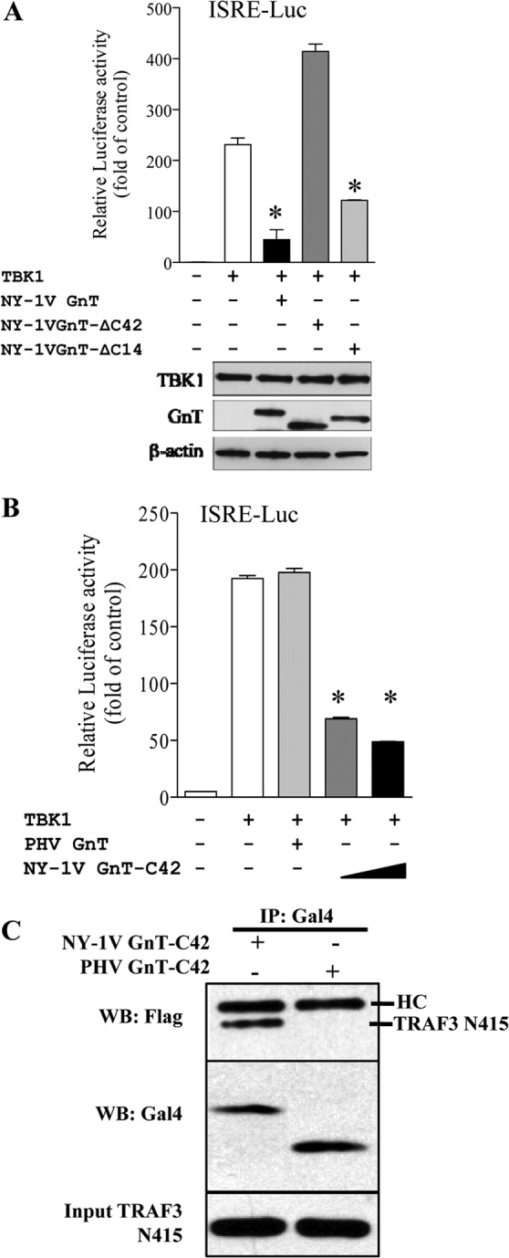 FIG 7