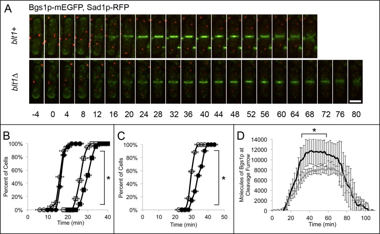 FIGURE 6: