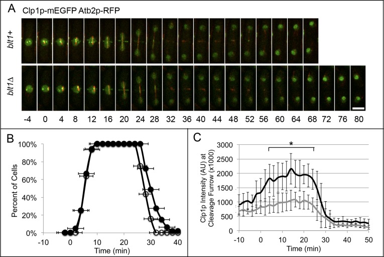 FIGURE 5: