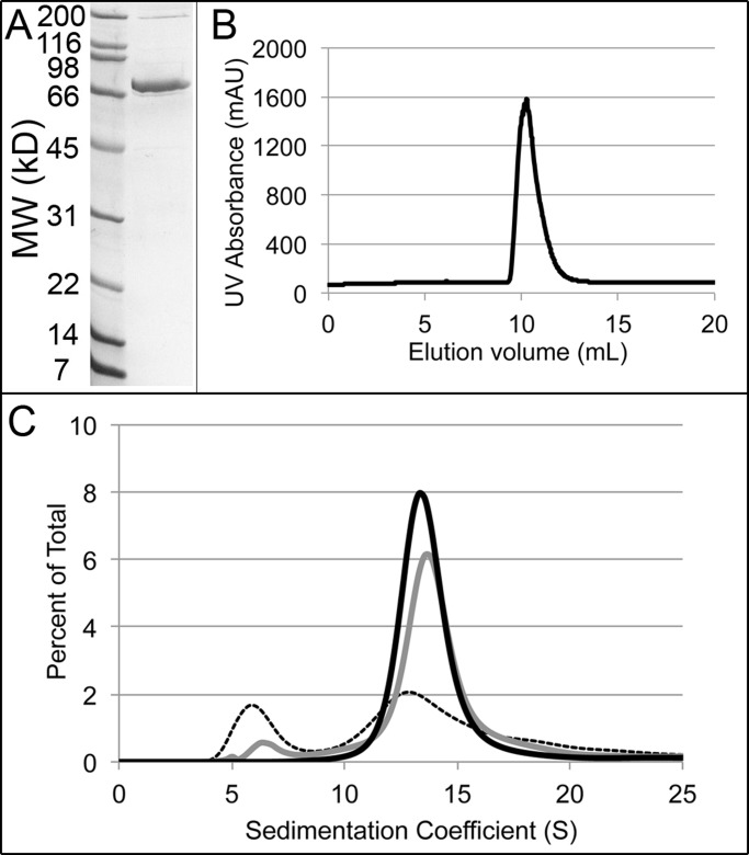 FIGURE 2: