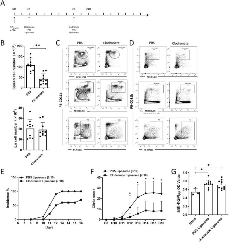 Fig. 8