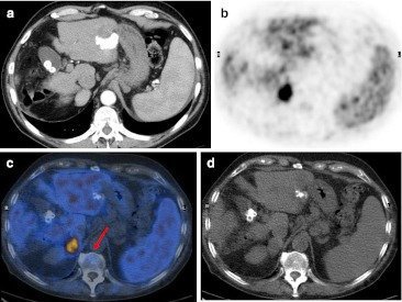 Fig. 6