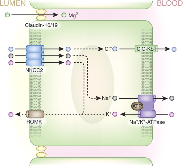 Fig. 4.