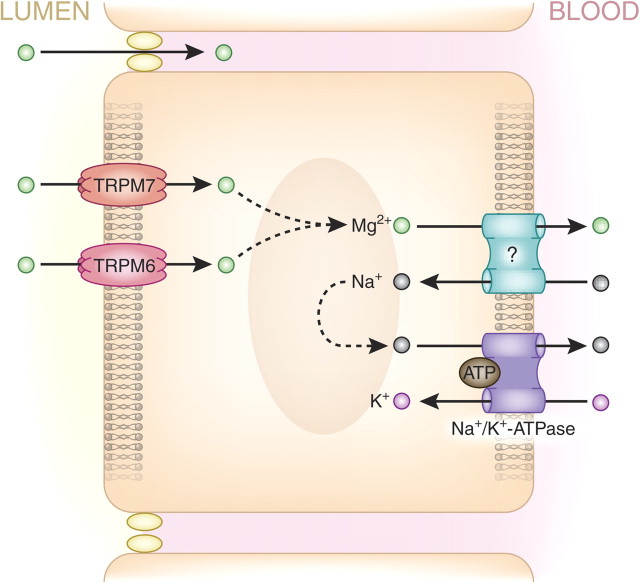 Fig. 2.