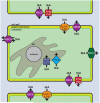 Fig. 4