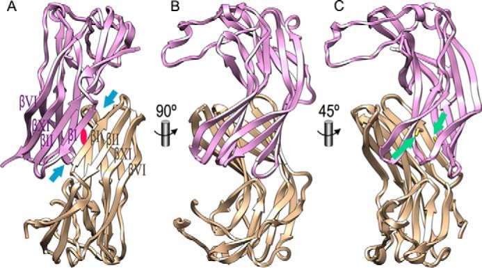 FIGURE 4.