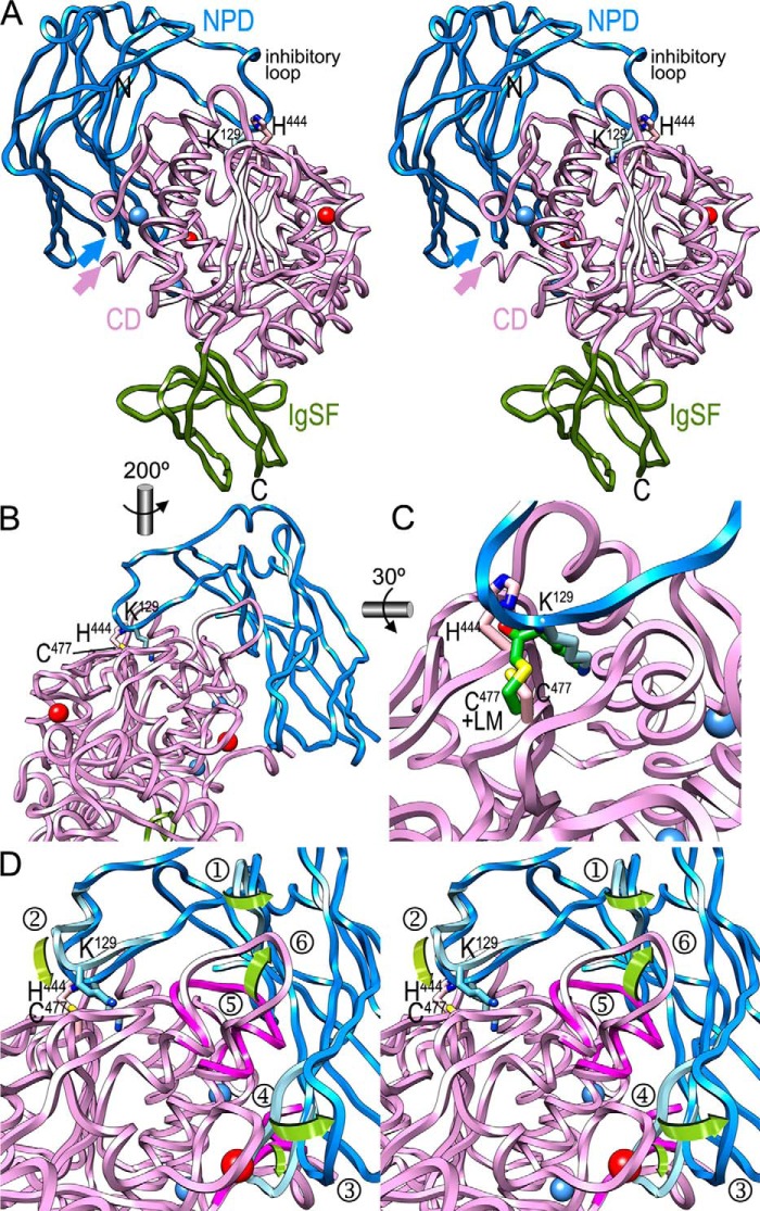 FIGURE 6.