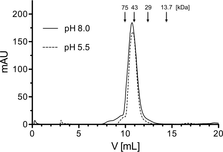 FIGURE 5.