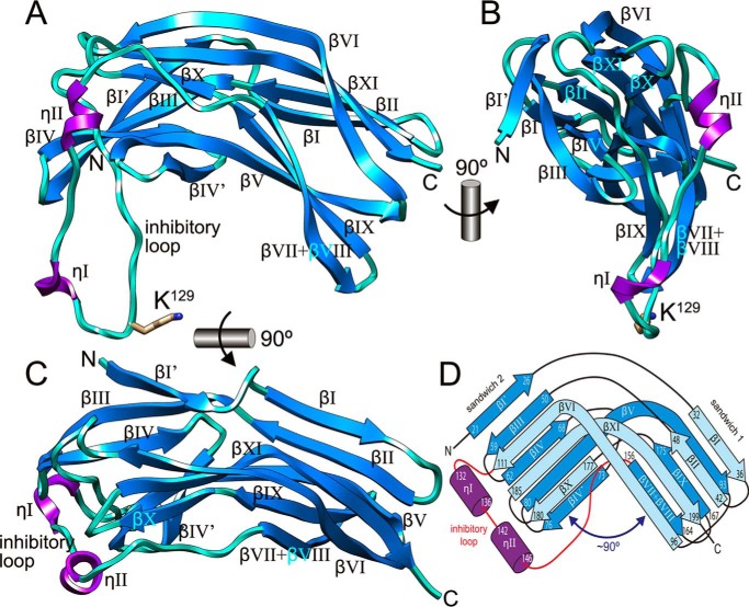 FIGURE 1.