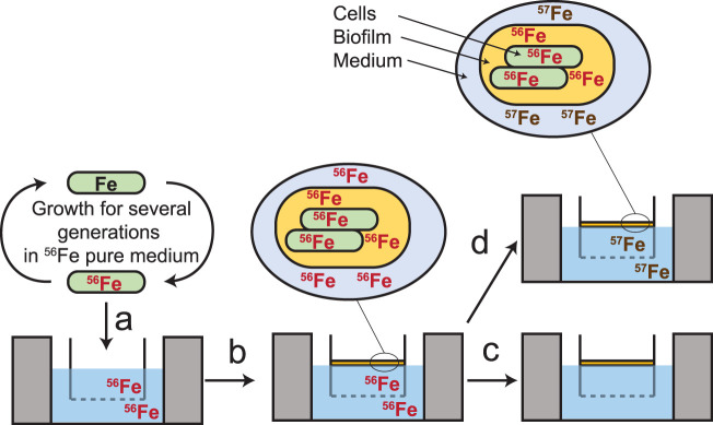 FIG 2