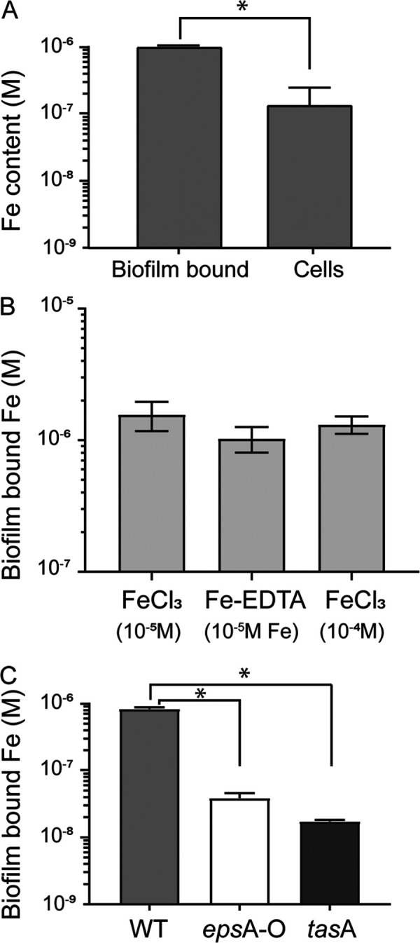 FIG 1