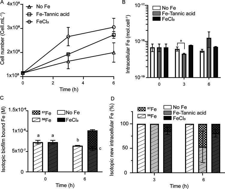 FIG 3