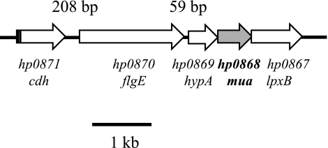 FIG 1 