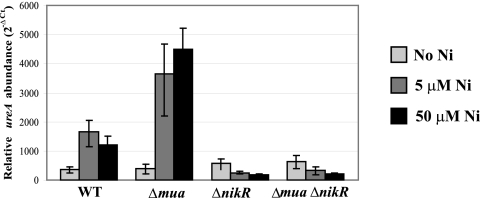 FIG 3 