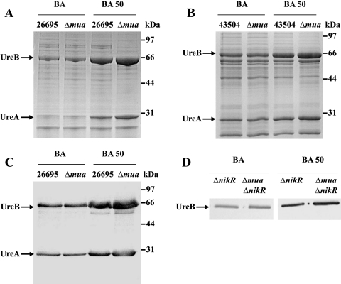 FIG 2 