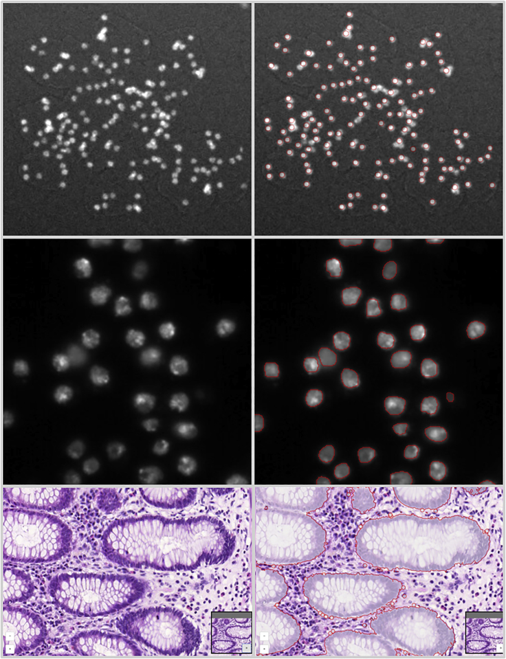 Figure 4