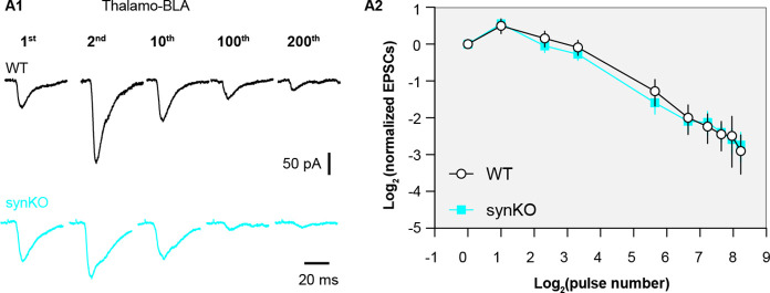 Figure 6—figure supplement 1.